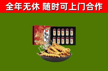 武川县烟酒回收冬虫夏草礼盒.jpg