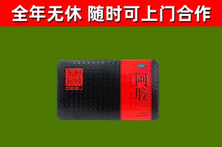 武川县回收阿胶