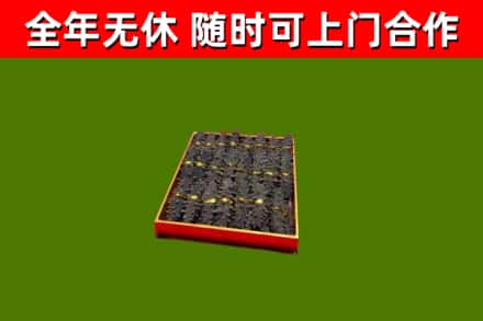 武川县回收海参